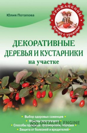 Обложка к Ю. В. Потапова. Декоративные деревья и кустарники на участке (2014) RTF,FB2,EPUB,MOBI