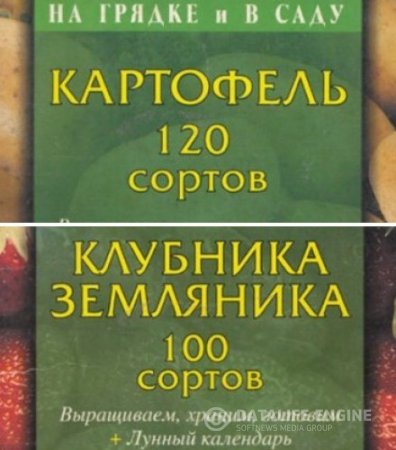 Обложка к Т.Е. Лущиц. Серия. На грядке и в саду. 2 книги (2001) DjVu