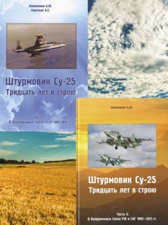 Обложка к Штурмовик Су-25. 30 лет в строю. 2 книги (2012-2014) PDF