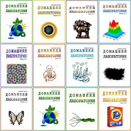 Обложка к Подшивка журналов. Домашняя лаборатория за 2017 год