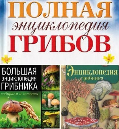 Обложка к Энциклопедия грибника. Сборник книг