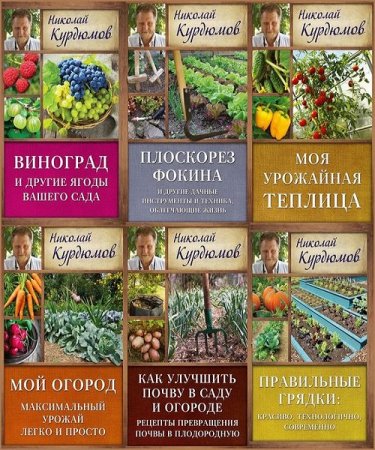 Обложка к Николай Курдюмов. Сборник книг
