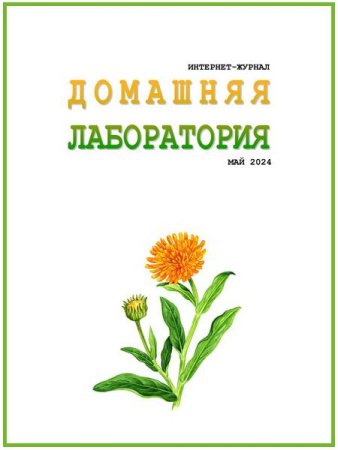 Обложка к Домашняя лаборатория №5 (май 2024)